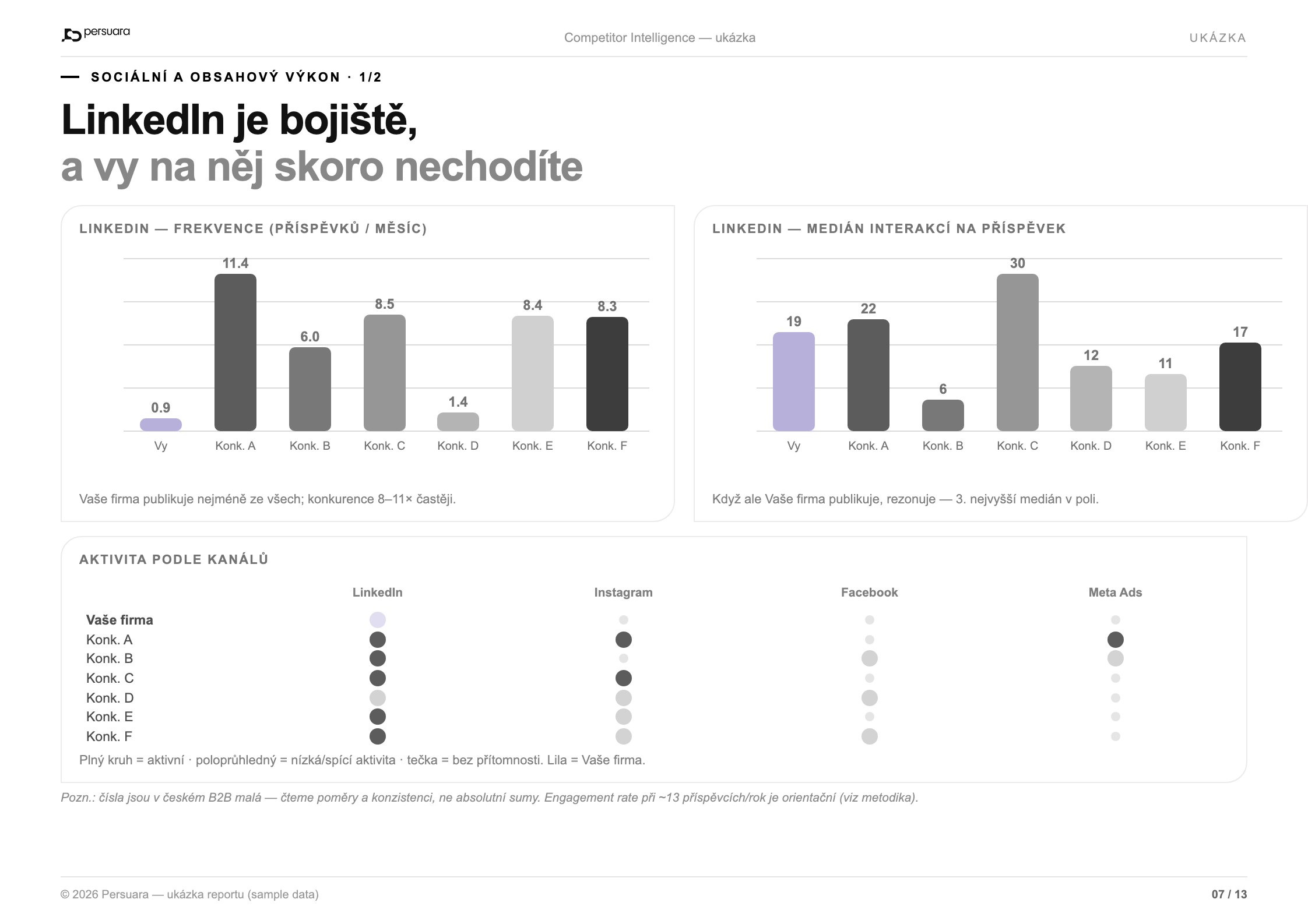 Report sample — social media performance charts